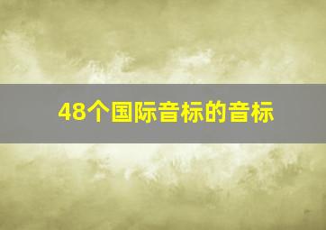 48个国际音标的音标