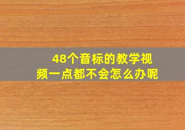 48个音标的教学视频一点都不会怎么办呢