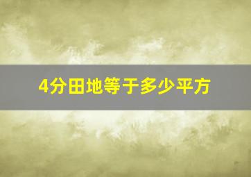 4分田地等于多少平方