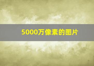 5000万像素的图片