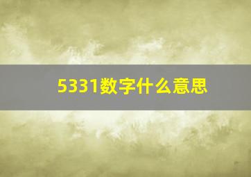 5331数字什么意思