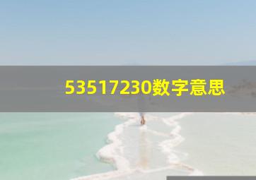 53517230数字意思