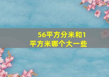 56平方分米和1平方米哪个大一些