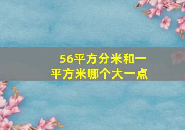 56平方分米和一平方米哪个大一点