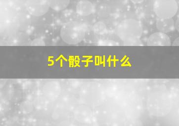 5个骰子叫什么