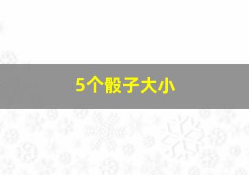 5个骰子大小