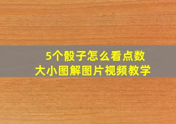 5个骰子怎么看点数大小图解图片视频教学