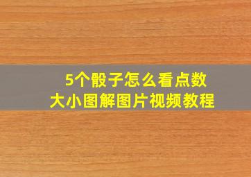 5个骰子怎么看点数大小图解图片视频教程