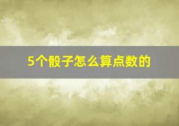 5个骰子怎么算点数的