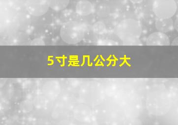 5寸是几公分大