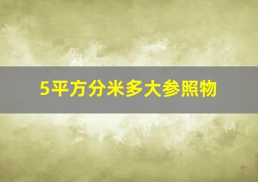 5平方分米多大参照物