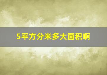 5平方分米多大面积啊