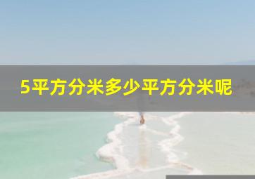 5平方分米多少平方分米呢