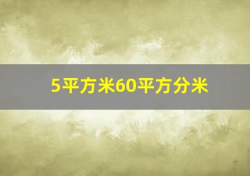 5平方米60平方分米