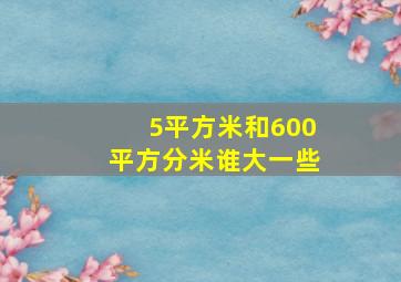 5平方米和600平方分米谁大一些