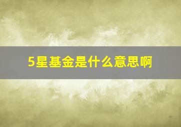 5星基金是什么意思啊