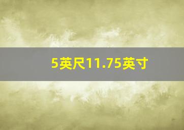 5英尺11.75英寸