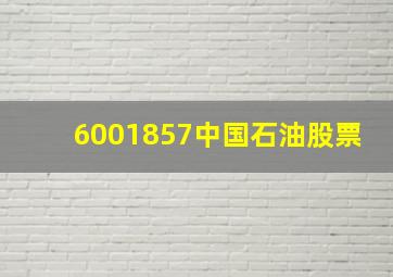 6001857中国石油股票