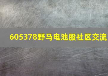 605378野马电池股社区交流