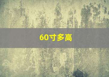 60寸多高