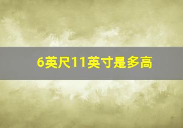 6英尺11英寸是多高