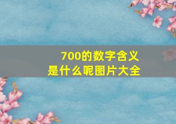 700的数字含义是什么呢图片大全