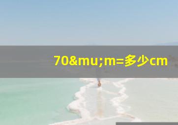 70μm=多少cm