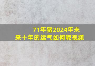 71年猪2024年未来十年的运气如何呢视频