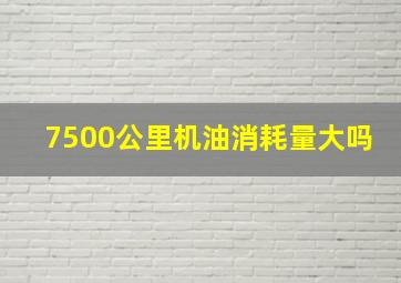 7500公里机油消耗量大吗