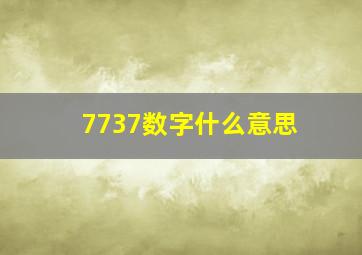 7737数字什么意思