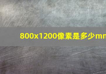 800x1200像素是多少mm