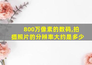 800万像素的数码,拍摄照片的分辨率大约是多少