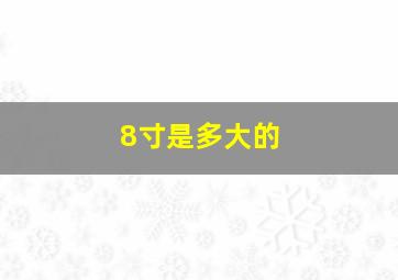 8寸是多大的