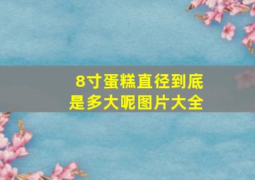 8寸蛋糕直径到底是多大呢图片大全