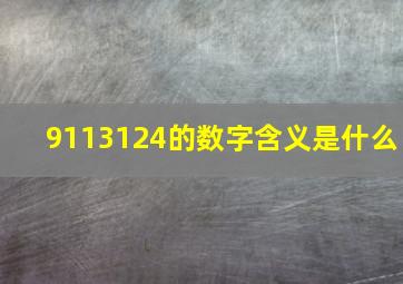 9113124的数字含义是什么