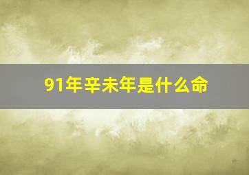 91年辛未年是什么命