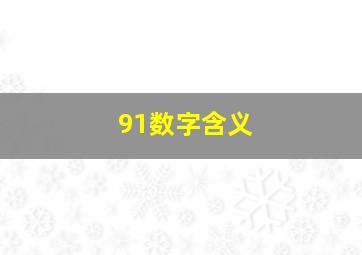 91数字含义