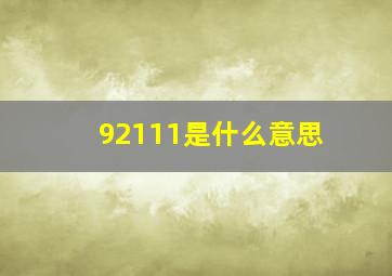 92111是什么意思