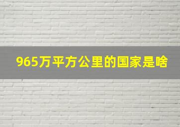 965万平方公里的国家是啥