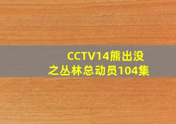 CCTV14熊出没之丛林总动员104集