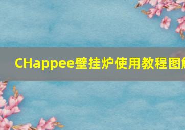 CHappee壁挂炉使用教程图解