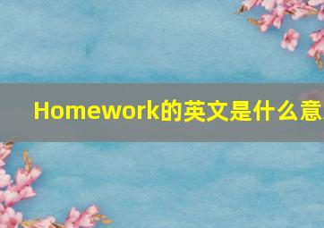 Homework的英文是什么意思