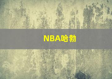 NBA哈勃