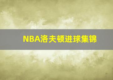 NBA洛夫顿进球集锦