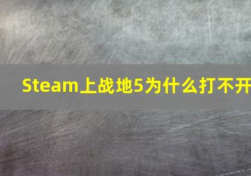 Steam上战地5为什么打不开