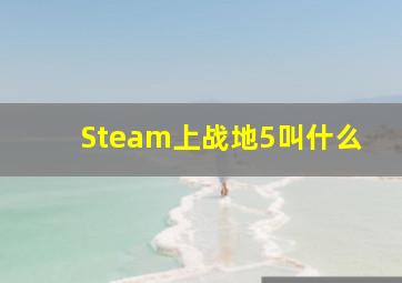 Steam上战地5叫什么