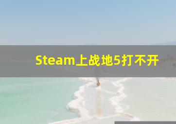 Steam上战地5打不开