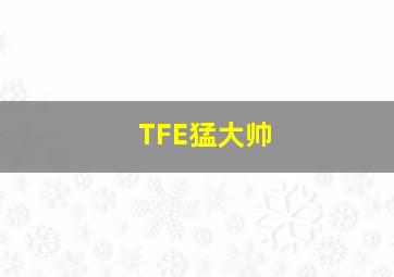 TFE猛大帅