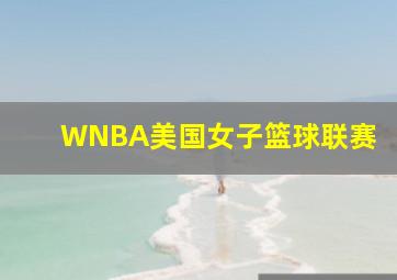 WNBA美国女子篮球联赛