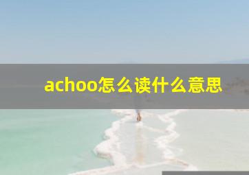 achoo怎么读什么意思